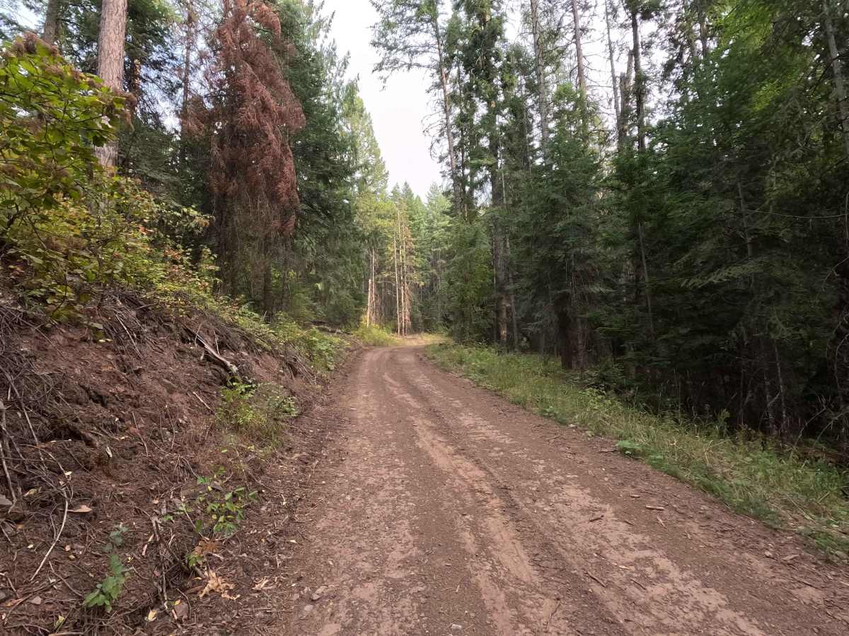 Half Moon Creek photo 2