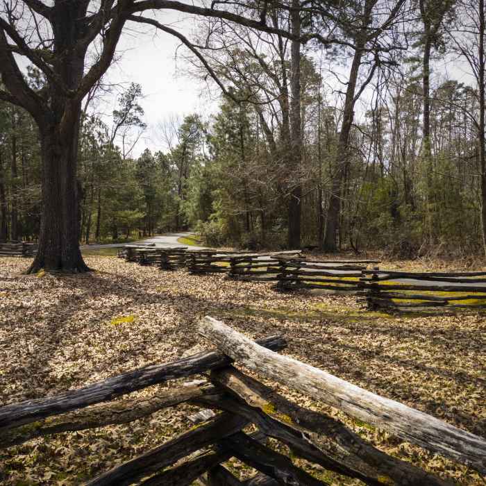 Fenced area at furthest point of long loop. Near Jamestown Island Loop