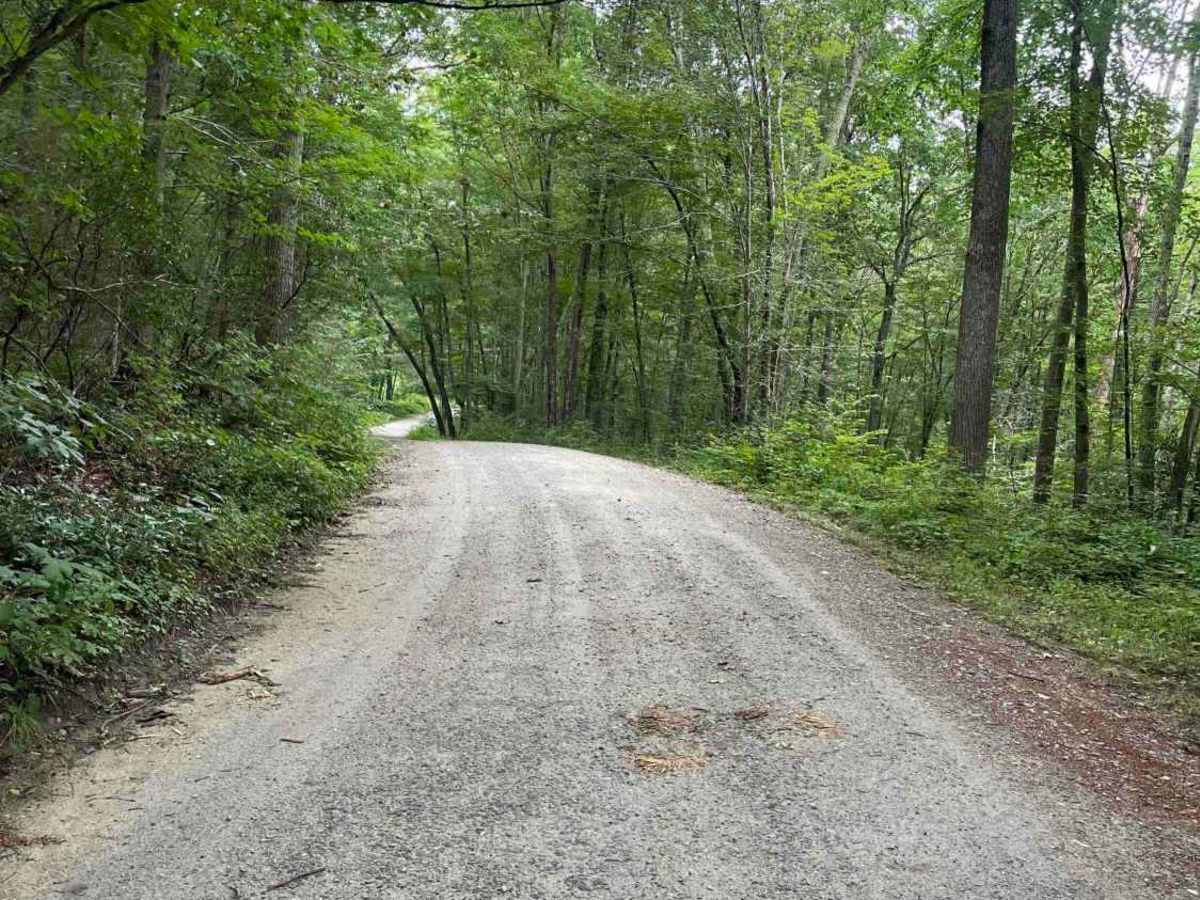 Old Country Road photo 3