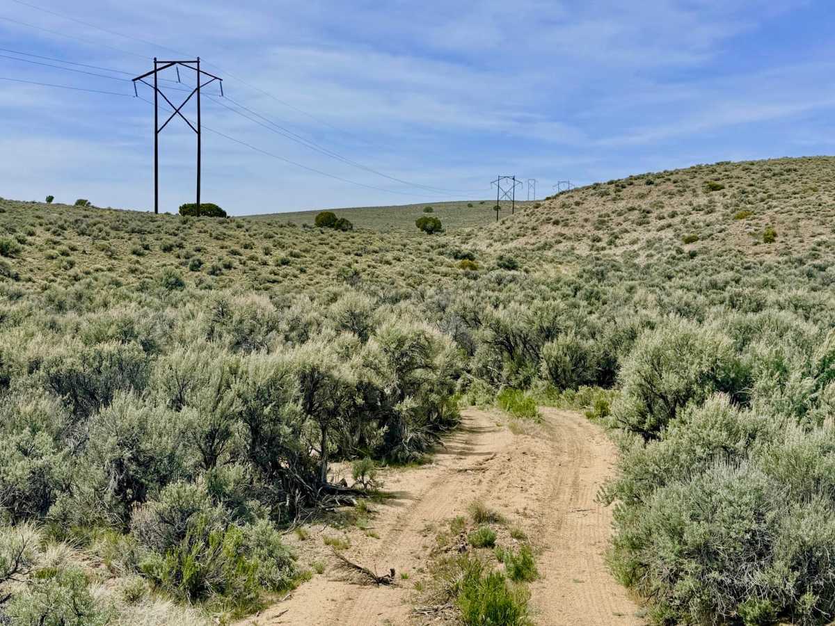 Willow Creek Ranch Cutoff FS43496A photo 6