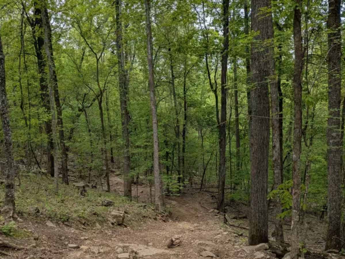 Trail 90 photo 3