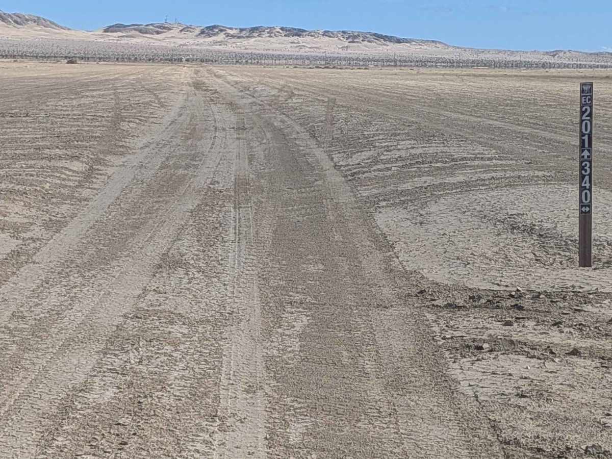 BLM 201 photo 5