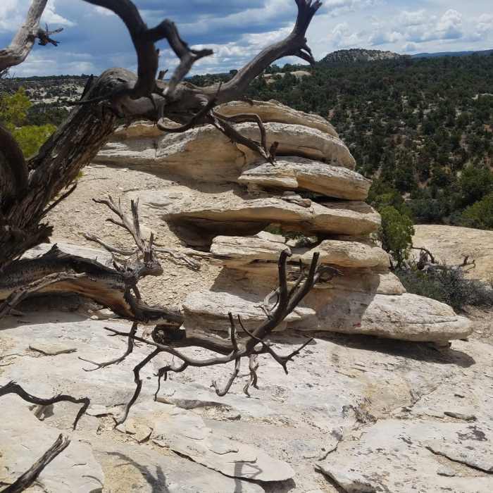 Near Miracle Rock Arch Route
