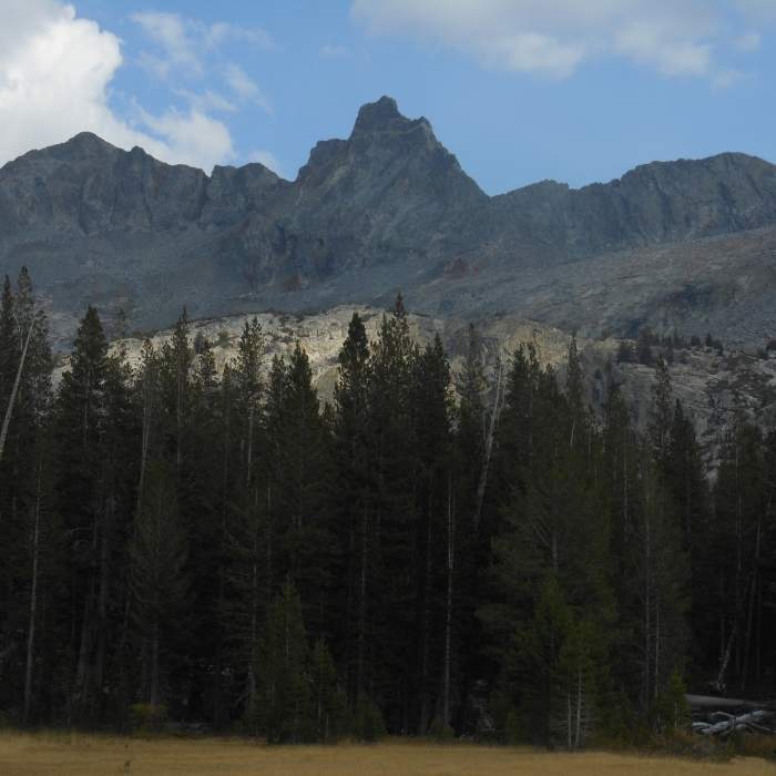 Near Merced River Shelf