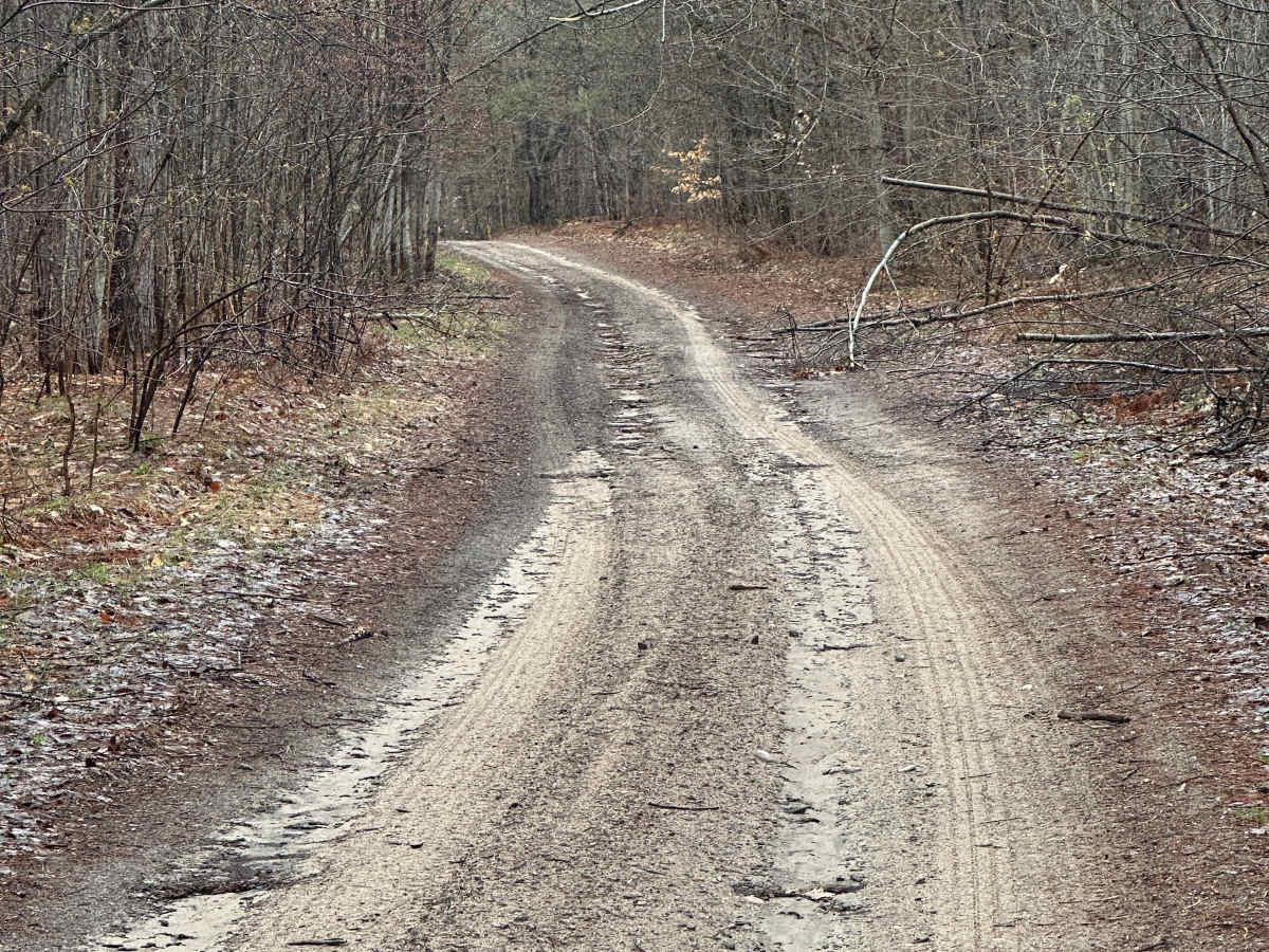 Kolke Creek Trail photo 6
