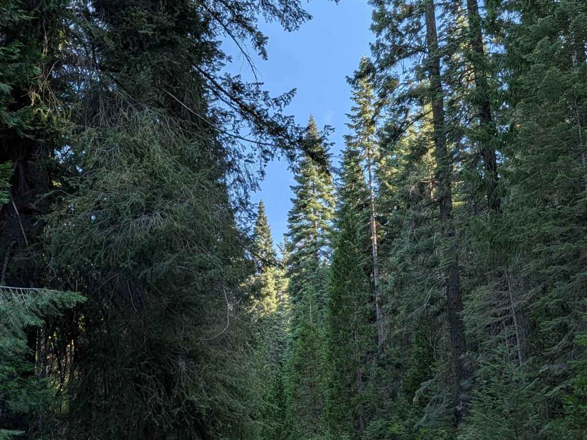 Dead Horse Canyon - FS 40N10 photo 2