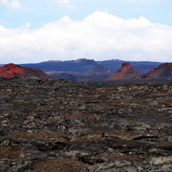 Near Observatory Trail
