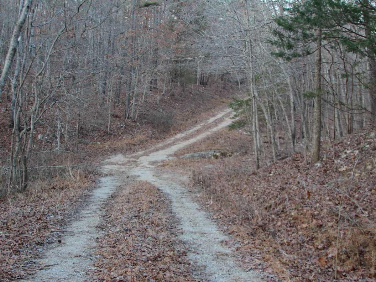 Chug-A-Lug - FS 446 trail photo