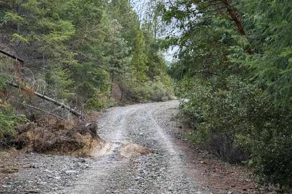 Walker Mountain Road