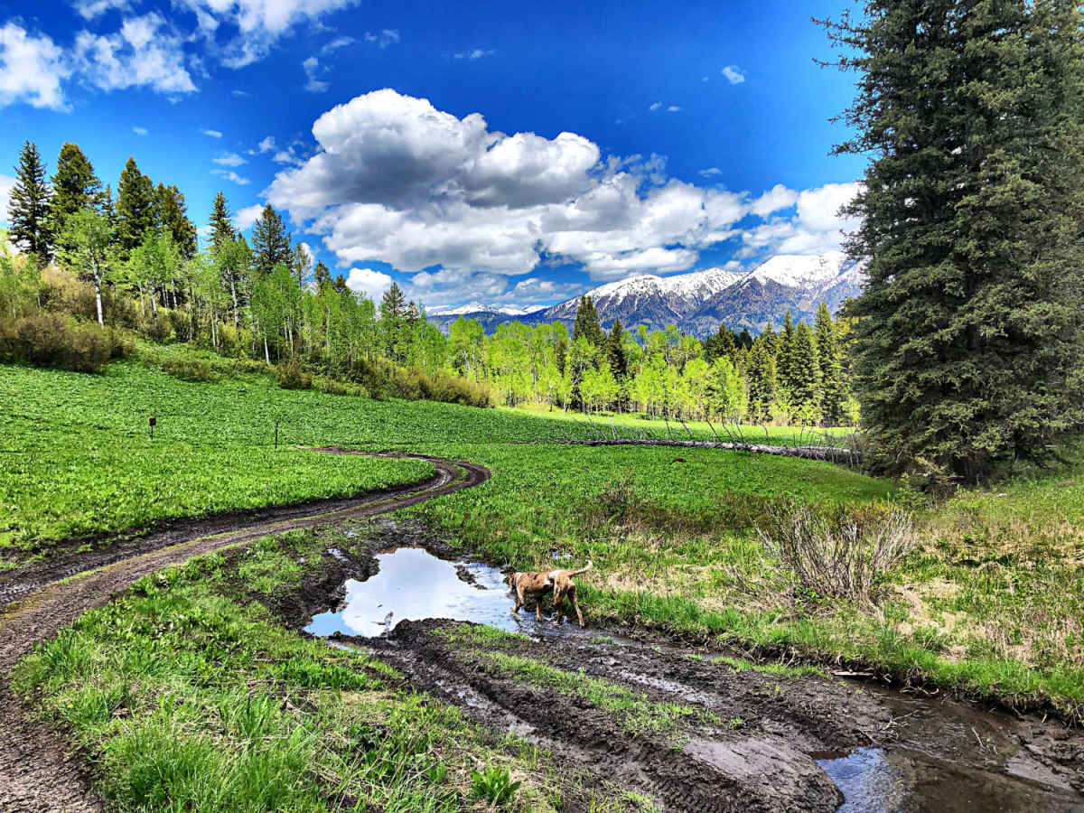 Burns Trout Creek Trail photo 5