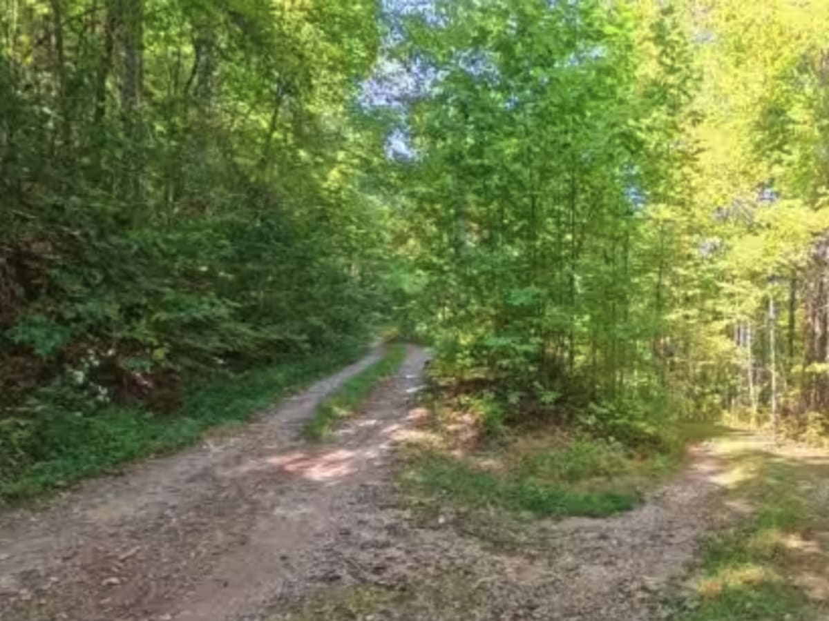 Chester Knob Lower Trail photo 6