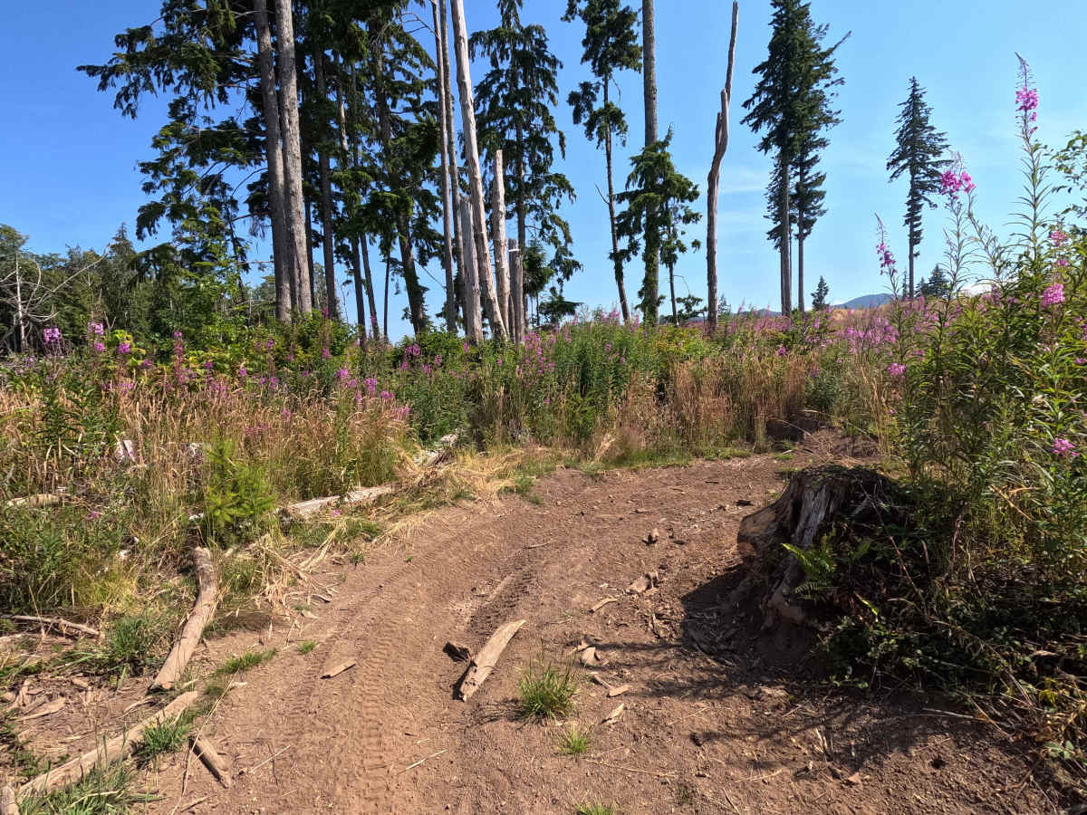 Sunset Trail photo 3