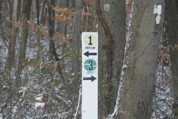 Trail 3