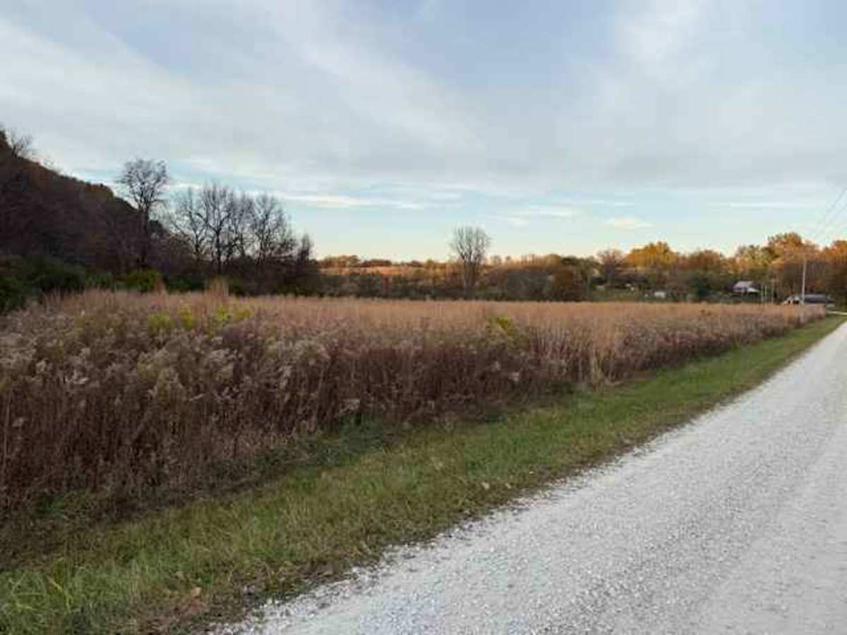 Olive Branch Road photo 3