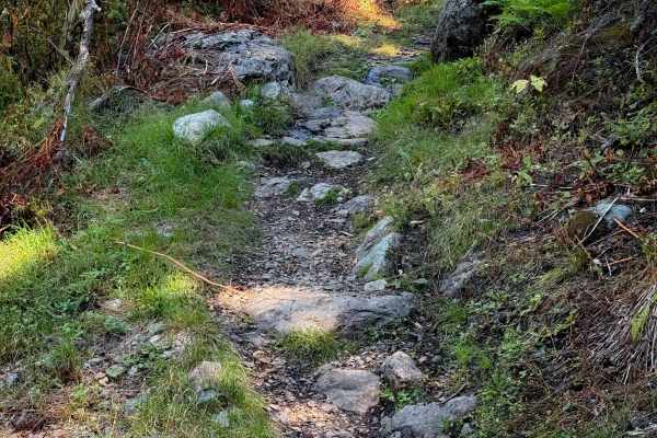 Pauley Creek 