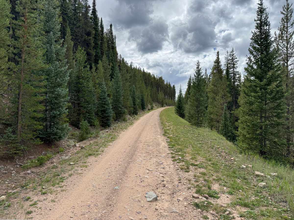 Pearl Creek photo 2