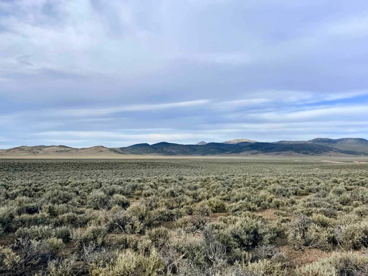 Grimes Ranch Road South photo 5