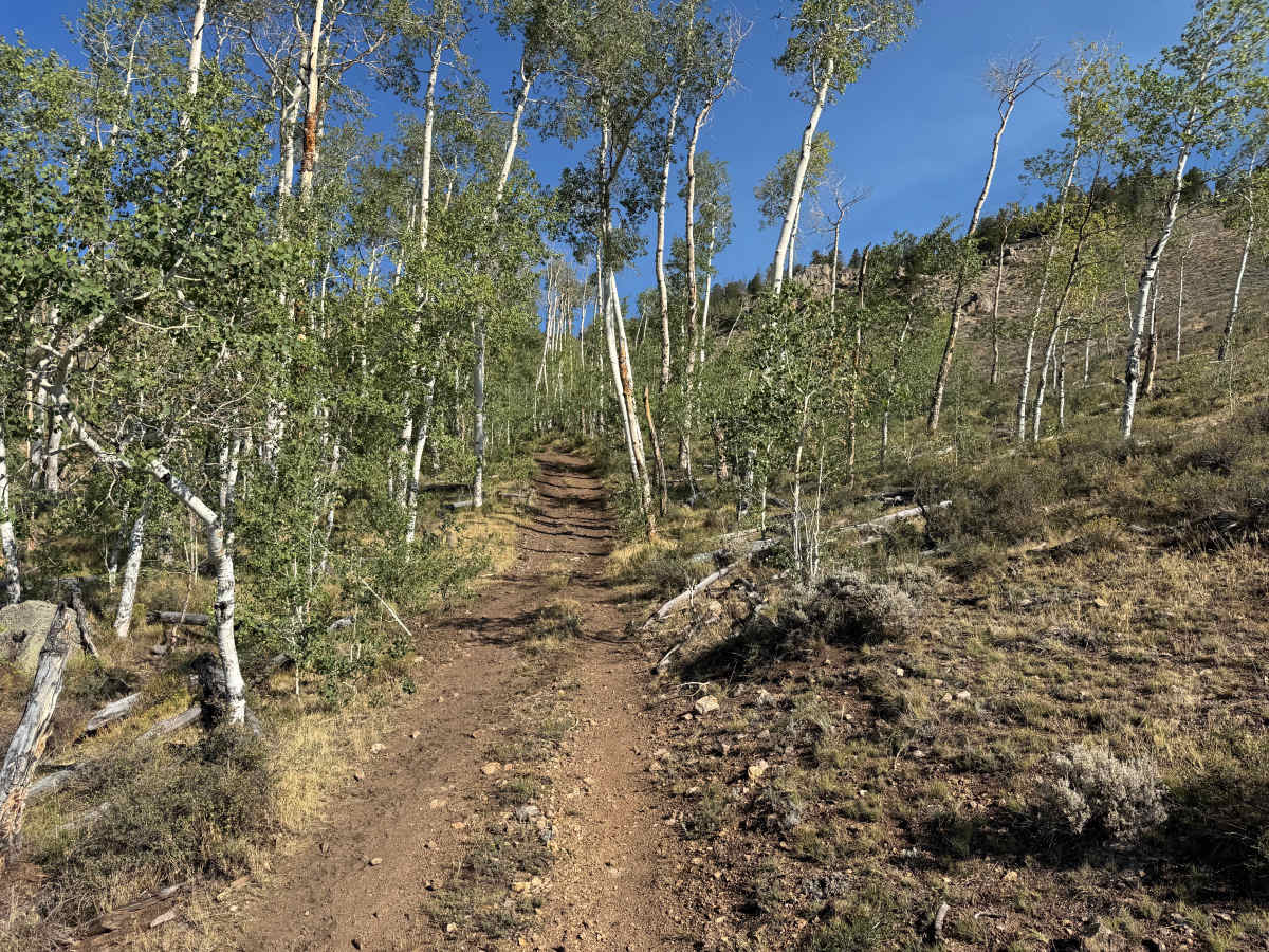 Flick Gulch Road photo 4