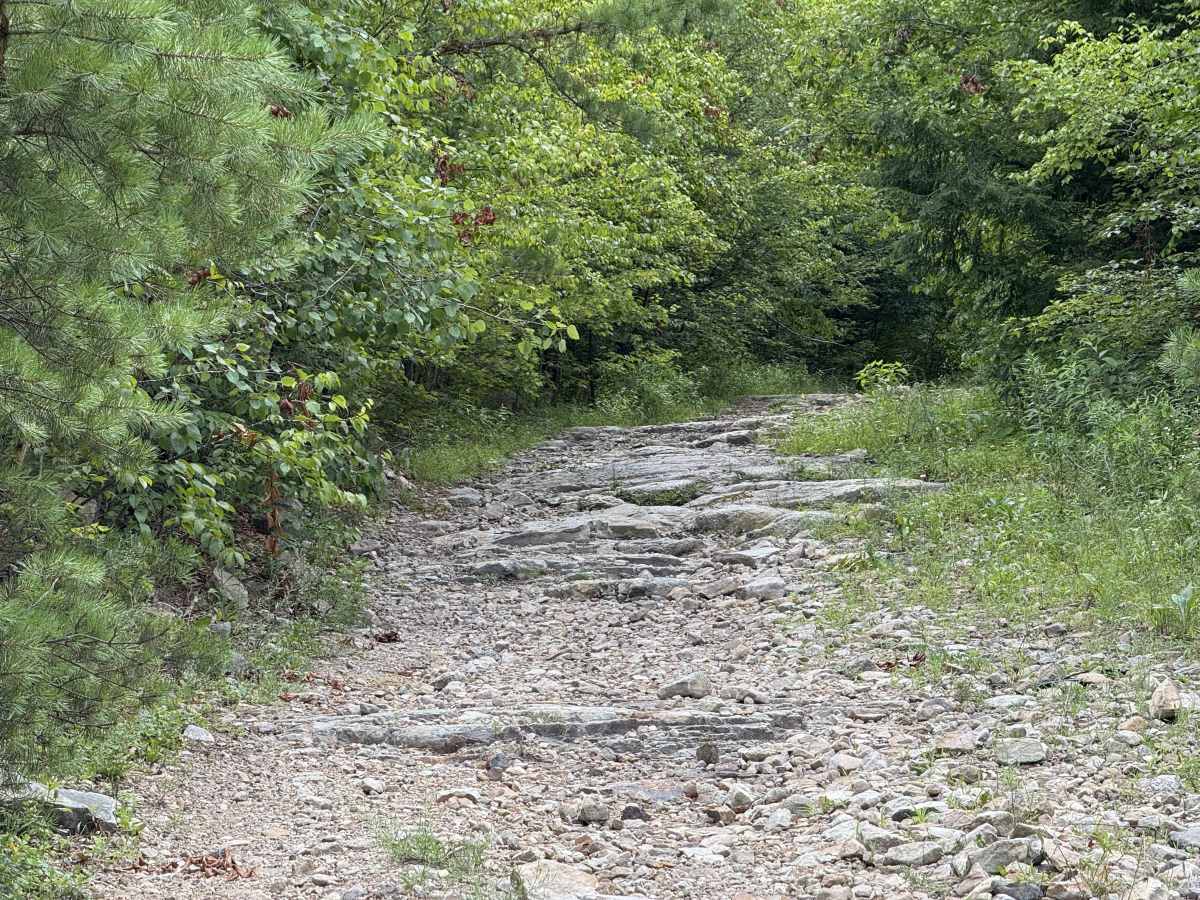 Beech Creek Access  trail photo