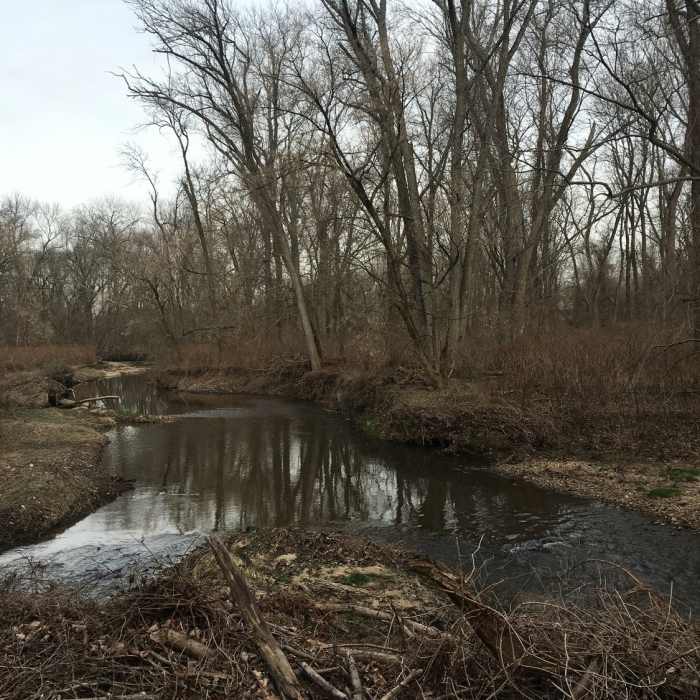 Pennypack Creek is right next to the trail for most of the way. Near Pennypack Paper Mill Loop