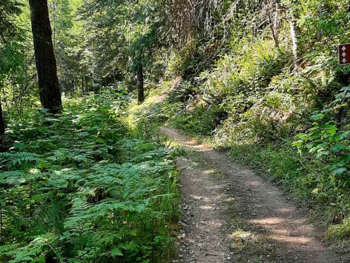 Van Camp trail 16 photo 3