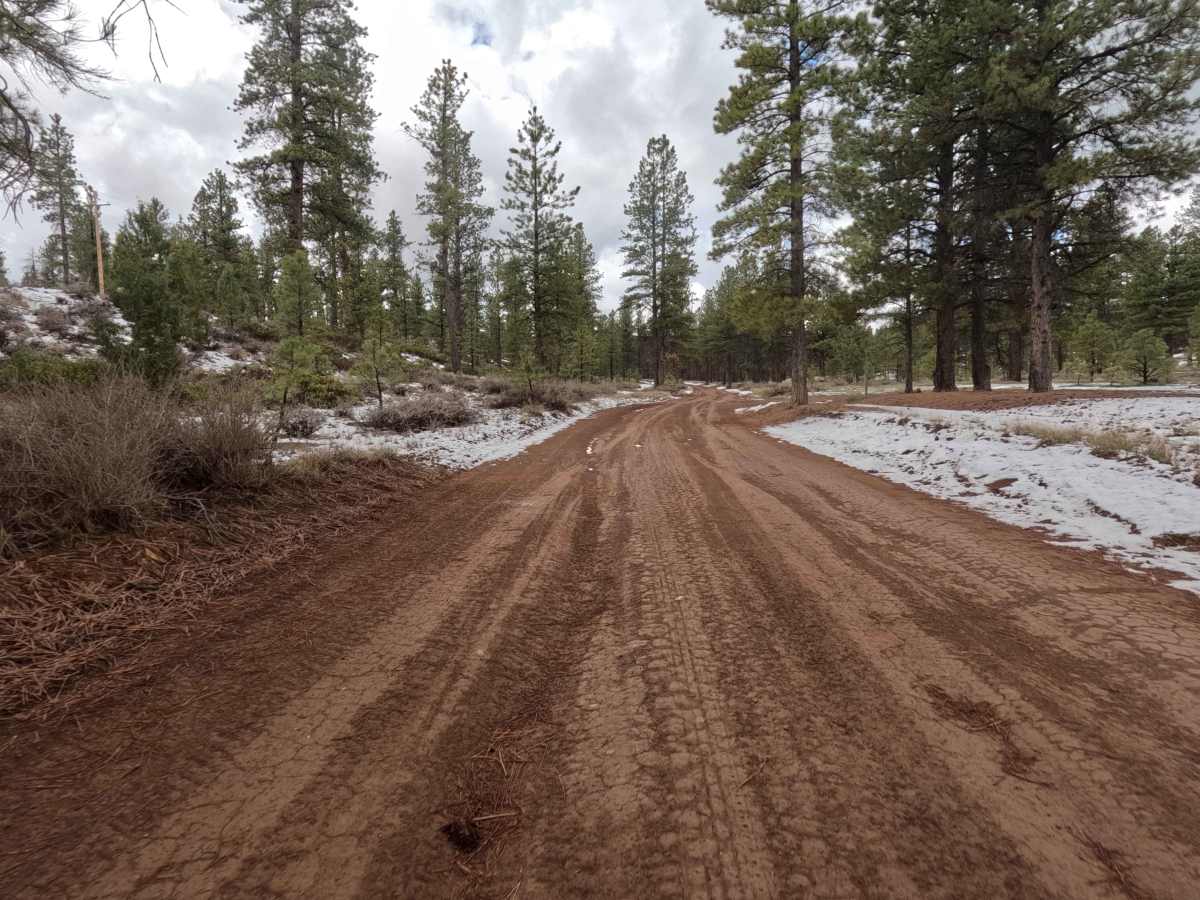 Great Western Trail - FS 30090 photo 4