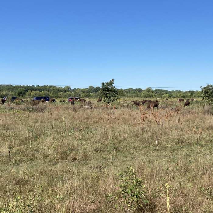 Near Hiking Club Trail