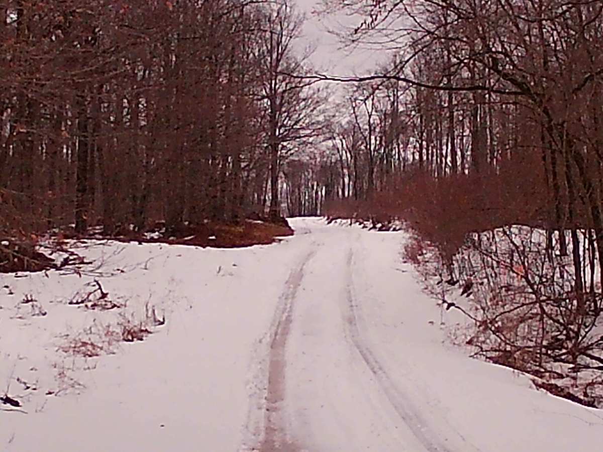 New Pond Road photo 4