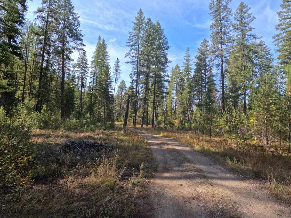 Winslow Camp Road photo 5