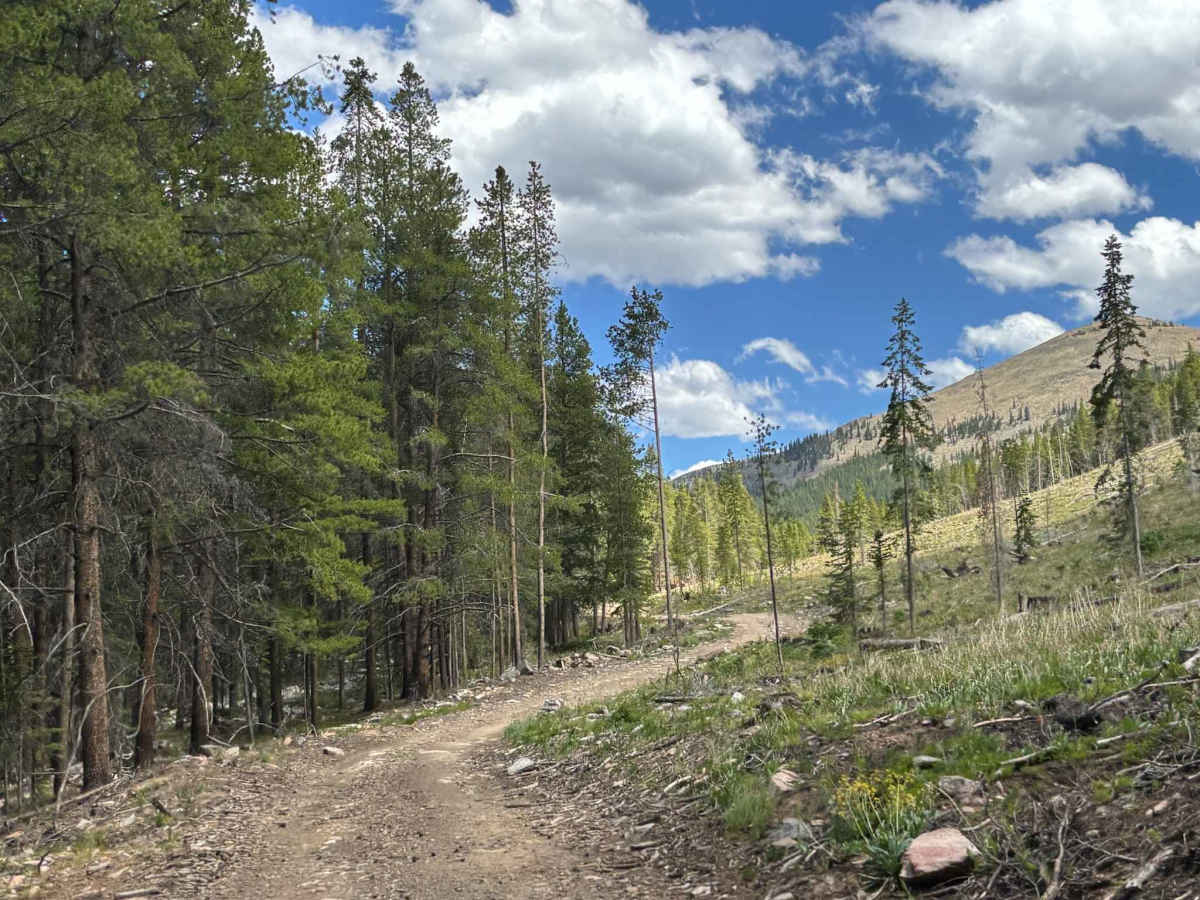 Sellar Lake Road trail photo