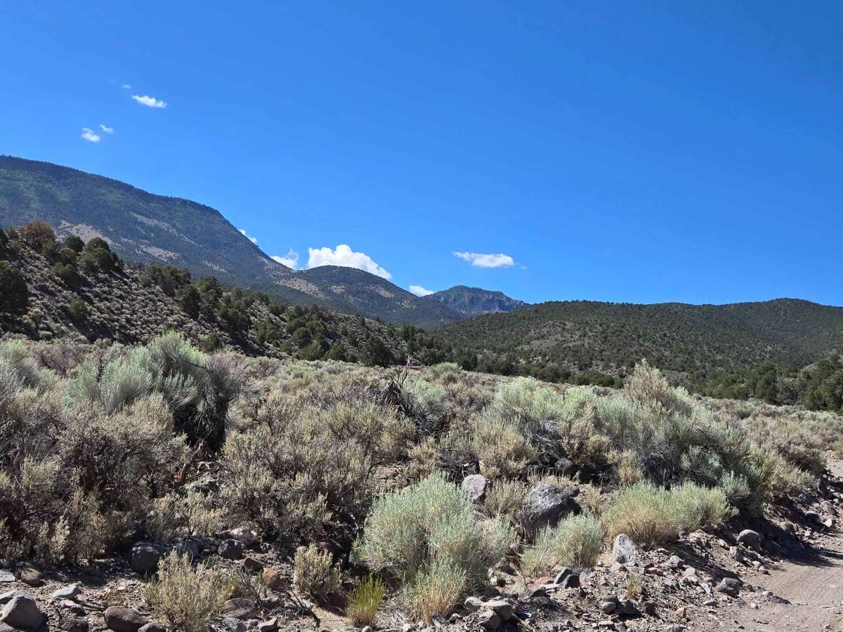 Kingston Canyon (Paiute 1 Trail) photo 4