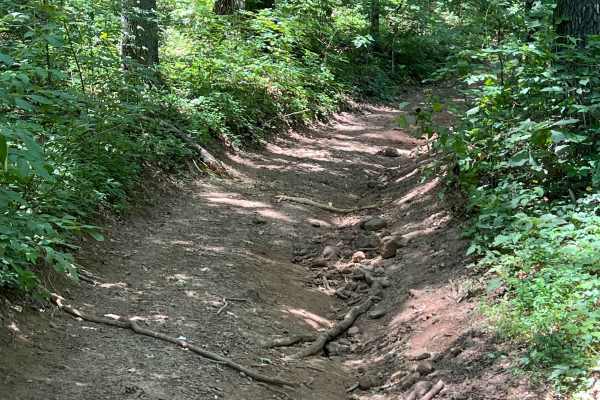 Hatley Mountain Spur