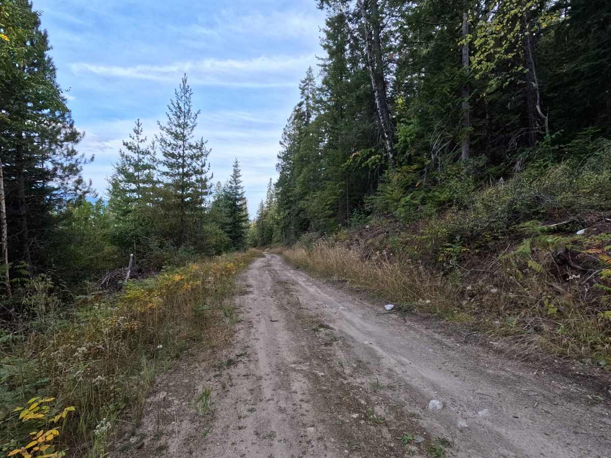 Pickett Road - FS 1710500 photo 5