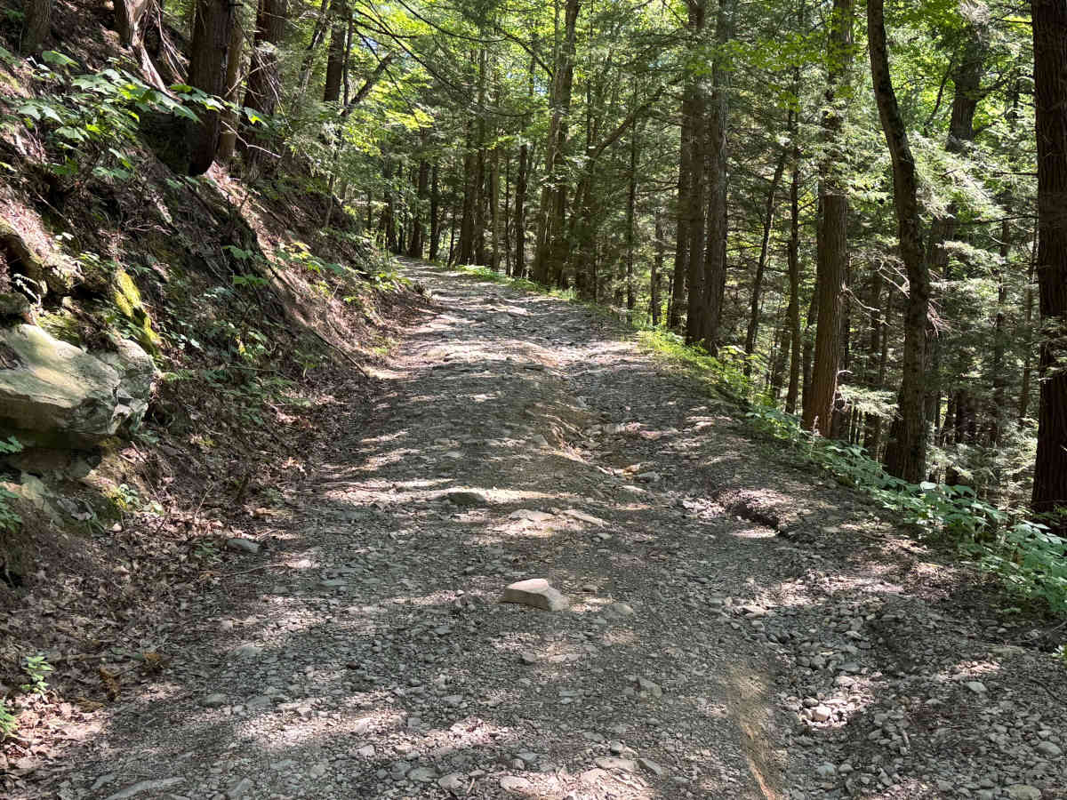 Dave Brown Mountain Road trail photo