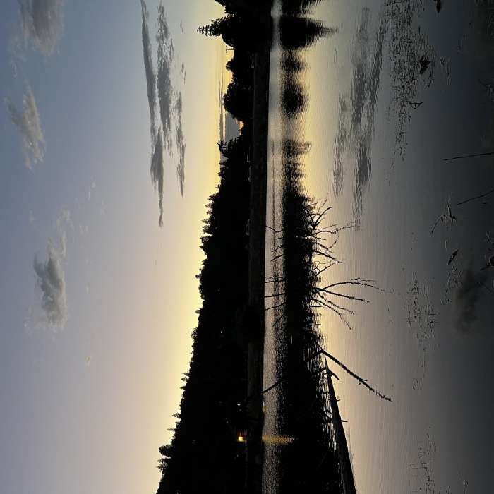 Near Lake Gregory