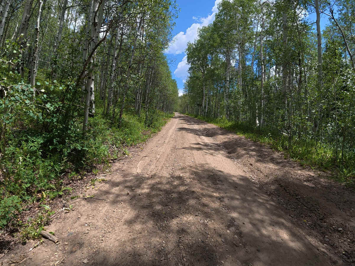 County Road 216 photo 2