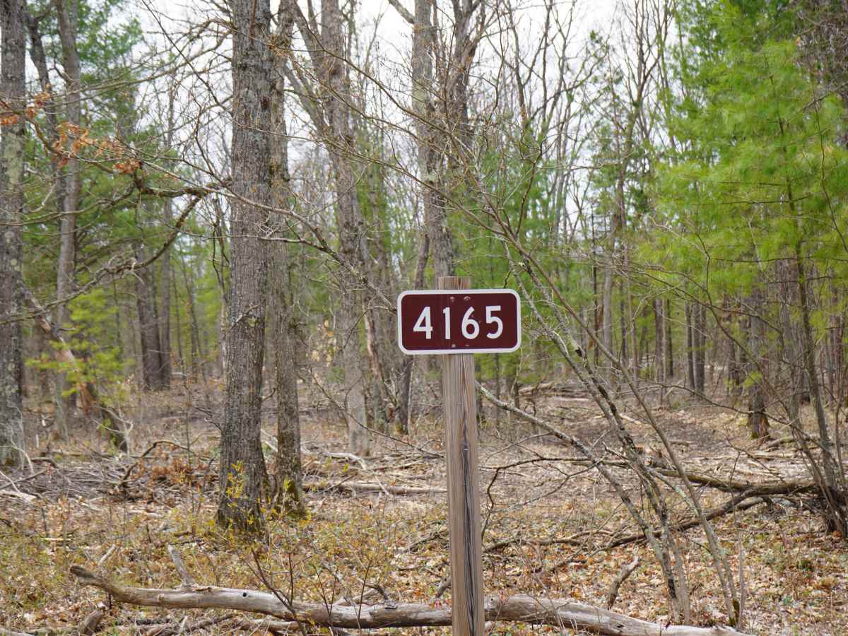 Meridian Road - FS 4165 photo 2