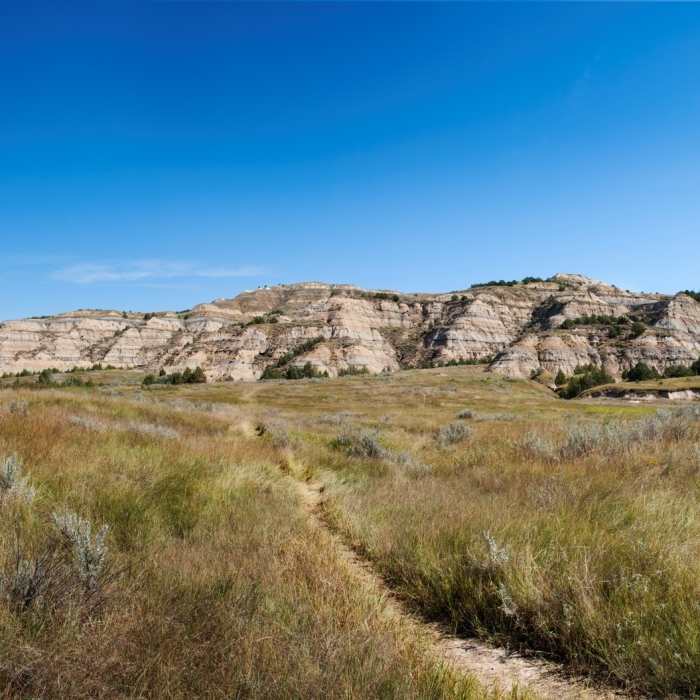 The Buckhorn Trail provides ample views of open space as you travel. Photo credit: NPS/Laura Thomas. Near Achenbach Loop
