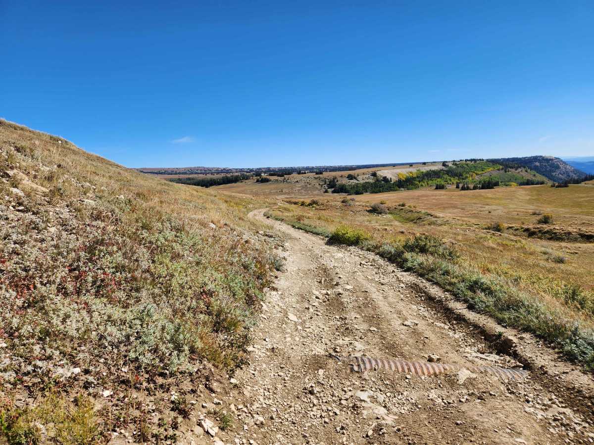 Seeley Creek Guard Station Cutoff - FS 52326 photo 6