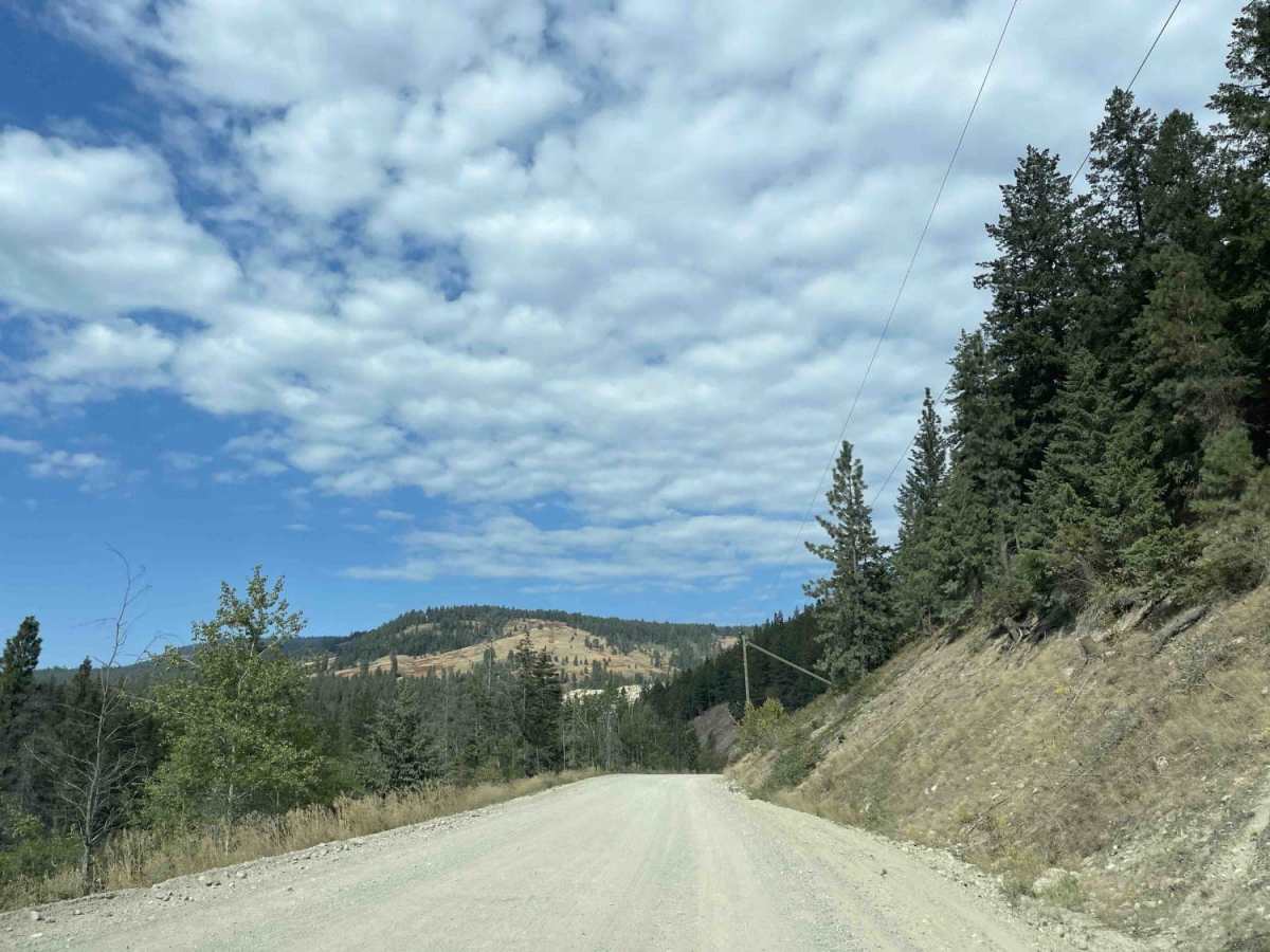 Bear Lake Road to Esperson Lake photo 5