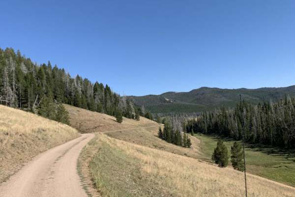 Champion Pass