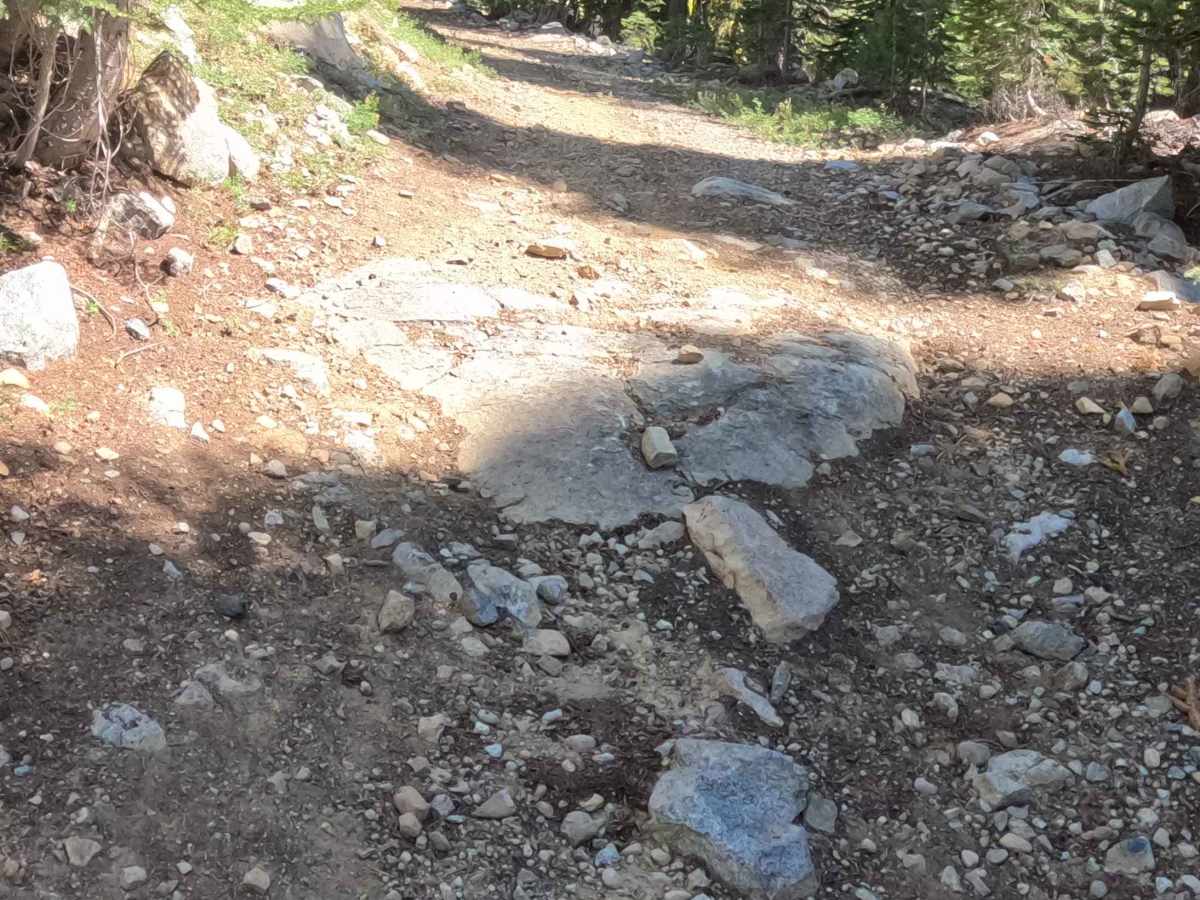 Church Creek Spur - Fs 28-004 photo 2