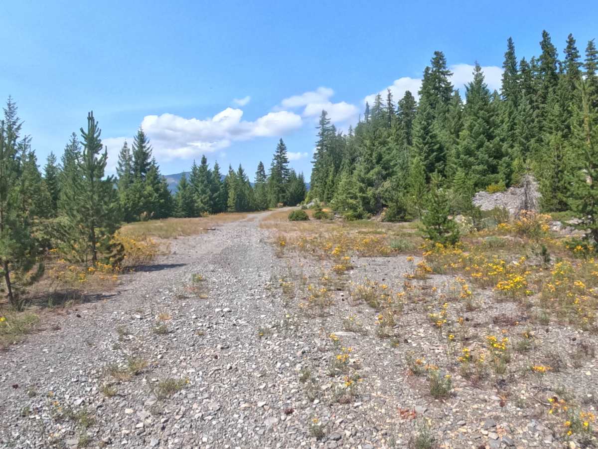 FS 2261310 photo 3