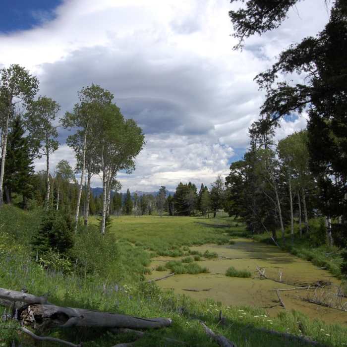 Near Sepulcher Mountain