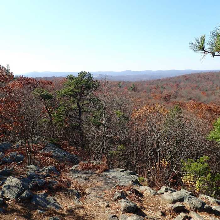 Near Ramapo Lake - Castle Point Loop