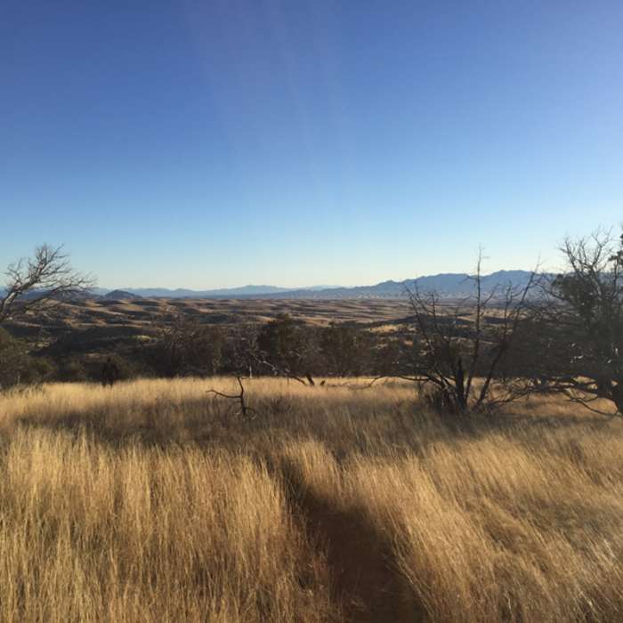 Near AZT - Passage 5 - Santa Rita Mountains