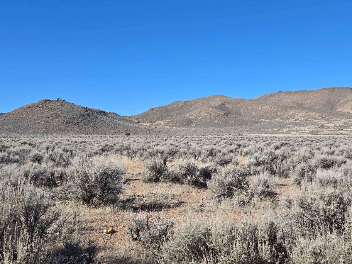 County Road 2220 - BLM 6463 photo 3