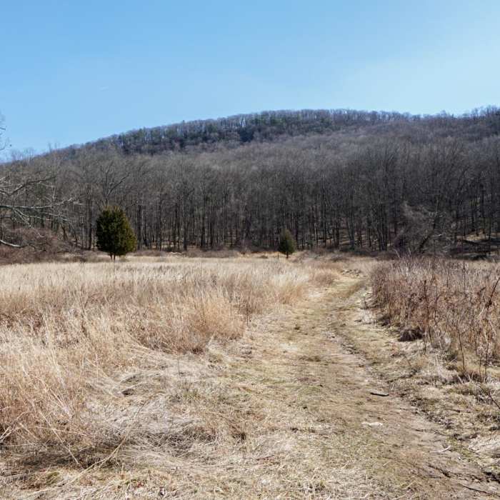 Near Lemon Squeezer + Lichen Trail