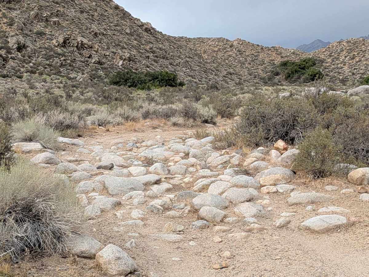 FS 7S102 trail photo