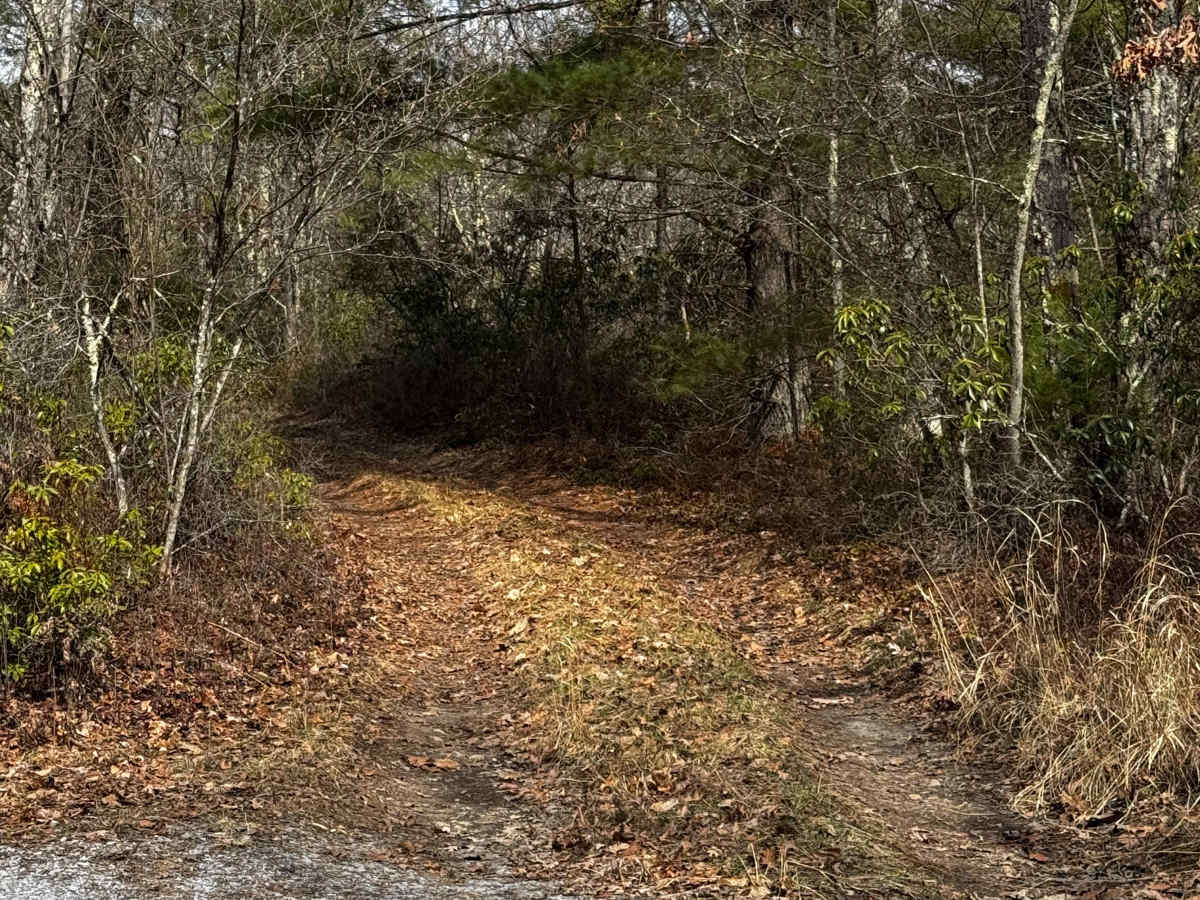 Tuckers Trail photo 2